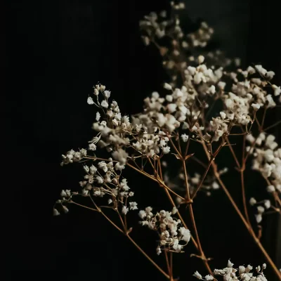 alex-beaufort-7mozcykfdea-unsplash-crp